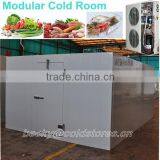 Modular Chiller & Freezer Cold Room Model DCWF(R)-43