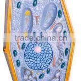 Peach Flower Model thumbnail-3