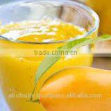 Aseptic Alphonso Mango Puree thumbnail-1