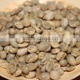 Wholesale Good Quality Yunnan Green Coffee Beans thumbnail-4