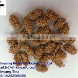Coated Peanuts/caramel Coated Peanut/flour Coated Peanuts thumbnail-1