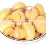 Canned whole button mushroom from manufacturer directly