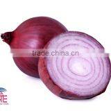 Fresh Onions thumbnail-1