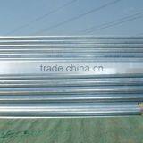 ASTM A53 ERW Round Hot Dip Galvanized Steel Pipe/tube thumbnail-4