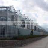 Low Cost Hydroponic Greenhouses System thumbnail-4