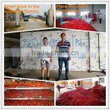 Heat Pump Fruit Dryer Argos for Fruit Vegetable Herb Meat Fish Chilli for Moringa Leaves thumbnail-1