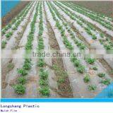 PE Heat Preservation Agricultural Film for Mulching thumbnail-1