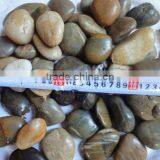 Garden Pebbles thumbnail-1
