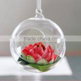 Air Plant Glass Terrarium, Handblown Glass Terrarium