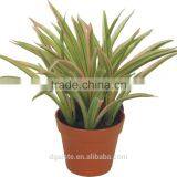 Artificial Green Bonsai The Grass Near the Red WB15-45J-RD ( Plant Bonsai Flower Tree of Este ) thumbnail-1