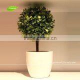 GNW GP003 Artificial Plastic Topiary Ball Plant Pots for Office Table Decoration thumbnail-4