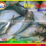 FROZEN HILSA SARDINE WHOLE ROUND thumbnail-2