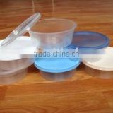 food container 250 ml 16g