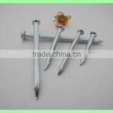 Оцинкованный стальной цементный бетонный гвоздь thumbnail-2