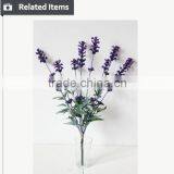 Small Decorative Flower Lavender Plant for Home and Hotel Usage thumbnail-3