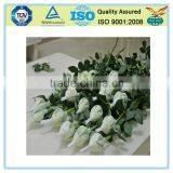 Colorful Flower Packing Bud Net thumbnail-2