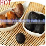 peeled solo black garlic helping in adjusting blood pressure and beauty your skin