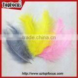 Any Color Cleaning Down Turkey Feather for Hat Wedding Decoration thumbnail-2