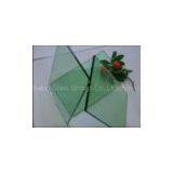 laminated glass