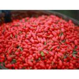 Wolfberry,goji Berries thumbnail-2