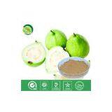 Guava Juice Powder thumbnail-1