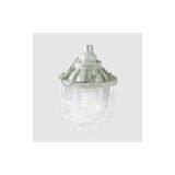 SAD56 Frameproof Explosionproof Luminaires thumbnail-1