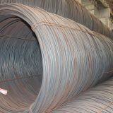 HTB1dz7AXv5TBuNjSspcq6znGFXaz