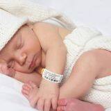 HF PP WRISTBAND 260MM thumbnail-3