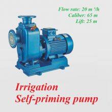 Centrifugal Pump Irrigation Self-priming Pump thumbnail-4