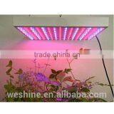 Wholesale Cheap 14w Two Channels Par Led Grow Light 2016 Calgary Potatoes Seeding Hydroponic Garden Lights thumbnail-5
