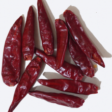 Tianying/chaotian Dry Red Chili Stemless thumbnail-3