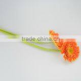Fashion Golden Sun Buy Gerbera Flowers thumbnail-4