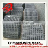 high quality heavy Galvanized crimped wire mesh (factory )