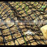 Strong Plastic Slope Road Protection Net/Ground Softing Net/Grass Growing Net thumbnail-5
