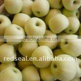 Fresh Golden Delicious Apple