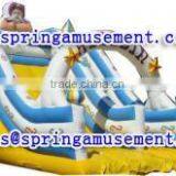 The Most Popular Outdoor Inflatable Slide, Inflatables, Inflatable Water Slide SP-SL103