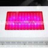 LED Plant grow lamp for agriculture