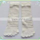 Hot selling Striped mercerized cotton socks woman girls white socks five toe socks zhuji manufacturer