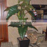 All Kinds Big Leaves Artificial Bonsai Plant thumbnail-3