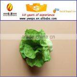 Wholesale fake foods/ foam vegetable 3d model