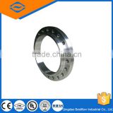 20% discounted 316 flange/stainless steel forged 316 flange
