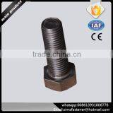 China Supplier M16-M30 High Strength Full Threaded Hex Bolt thumbnail-2