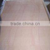 PLYWOODS ( E2) thumbnail-5