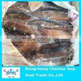 Fresh Frozen Illex Squid