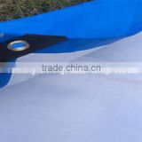 waterproof PE tarpaulin 140gsm white/bule color, all kinds tarpaulin size