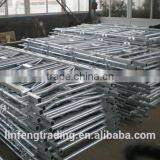 Steel Cow Head Lock Cattle Head Lock/neck Cangue/neck Chain for Dairy Farm Made In China thumbnail-3