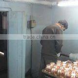 T.l.t Collection company overview - view 2 thumbnail