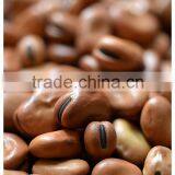 Good Quality Dry Broad Bean/fava Grain Crop/pulses