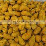 Dried Turmeric Exporters/Turmeric Curcumin thumbnail-4