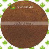 Lyphar Supply High Purity High Quality and Functionality Organic Pea Protein